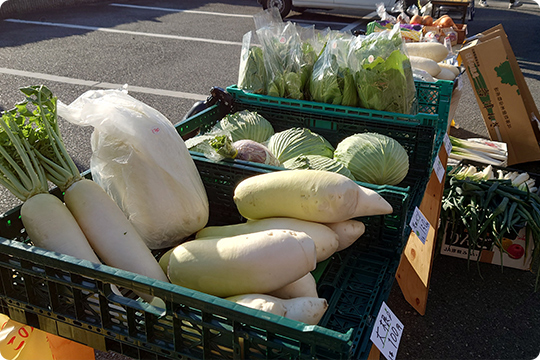 お野菜マルシェ 「海とたまねぎ」地元農家さんを応援しています！