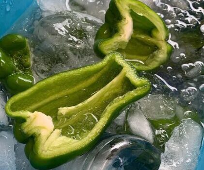 但馬のごちそうピーマン　「お野菜マルシェ」に登場　ピーマン嫌いの人来てください