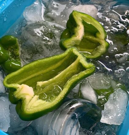 但馬のごちそうピーマン　「お野菜マルシェ」に登場　ピーマン嫌いの人来てください
