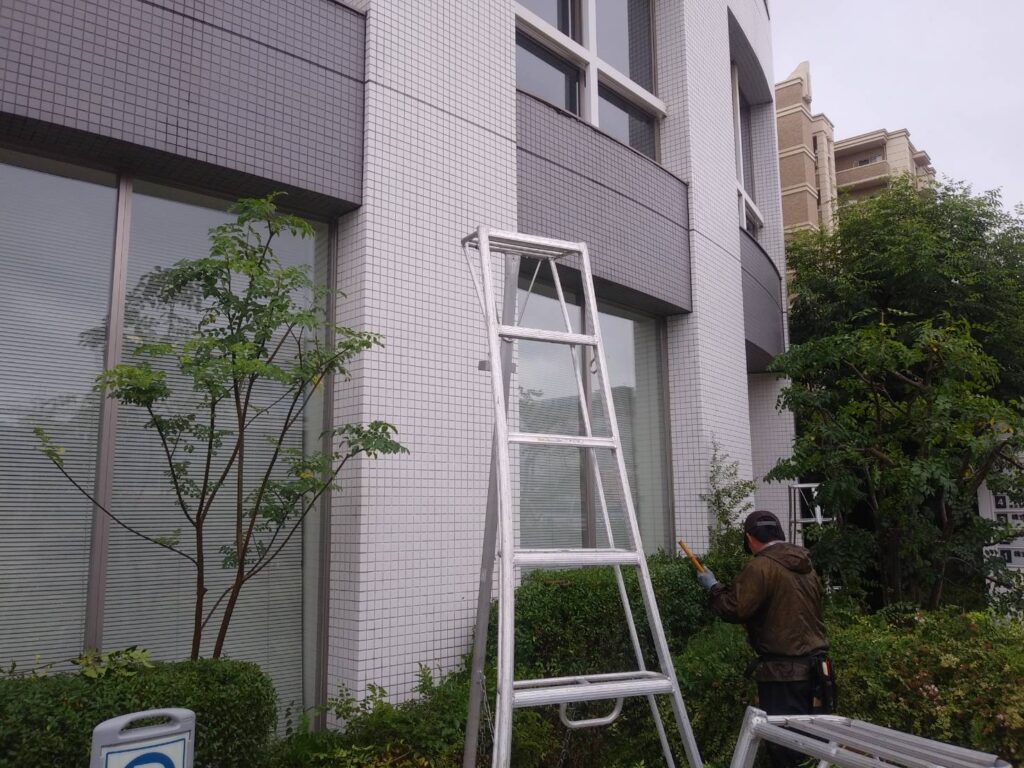 ビル外構の植栽を剪定してもらいました