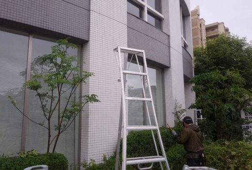 ビル外構の植栽を剪定してもらいました