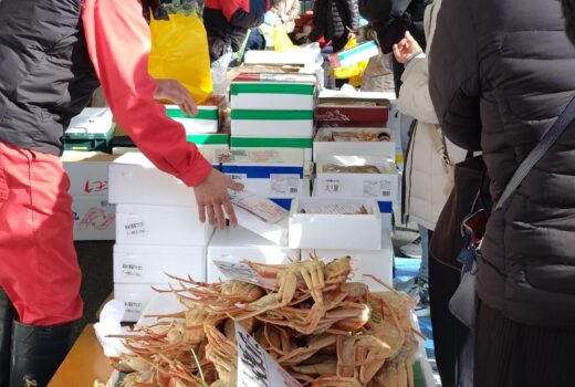 かに直送市 香住港から 甘エビ人気 サザエの大きさに驚く 野菜もドーナツも 今夜は鍋一択! かに直送市 香住港から 甘エビ人気 サザエの大きさに驚く 野菜もドーナツも 今夜は鍋一択!